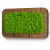 Obraz z mchu stabilizowanego chrobotek Spring Green w ramie z drewna paulownia