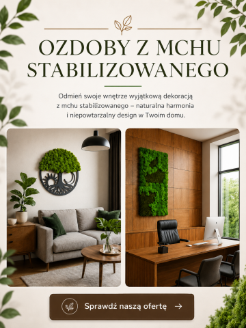 ozdoby z mchu stabilizowanego obrazy doniczki drzewka